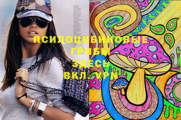 скорость Алзамай