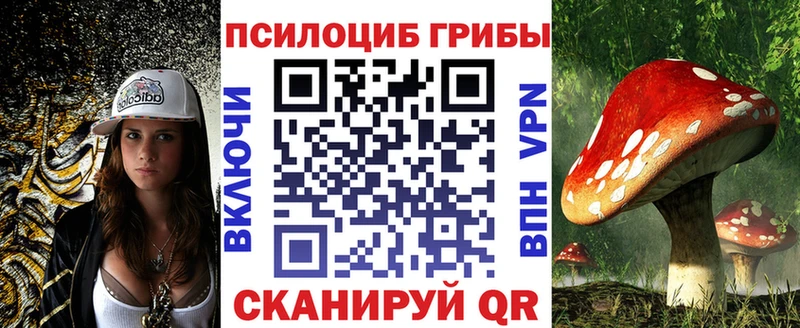 omg как войти  Омск  Галлюциногенные грибы GOLDEN TEACHER  площадка клад  как найти наркотики 